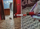 Ex-presidiário é baleado dentro de hotel, em Presidente Médici
