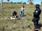 Em Ji-Paraná, Ex-presidiário é morto a tiros e companheira é baleada no braço