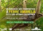 Unidade de Vigilância de Zoonoses emite nota de esclarecimento sobre o Caso de Febre Amarela na área rural de Ji-Paraná