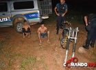 Polícia Militar prende suspeitos furtando fios no Colina Park e encontra quadro de moto abandonado em terreno baldio