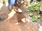 PM e PC encontram 1,5 Kg de Maconha e Pasta Base enterrada em quintal, no bairro Primavera; Duas pessoas foram presas