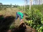 Empresa MFM Soluções Ambientais amplia Programa de Recuperação de Nascentes em área de aterro sanitário de Cacoal