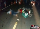 Animal na pista provoca morte de motociclista na BR-429