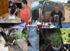 PM acaba com dois pontos de venda de drogas em Ji-Paraná e prende supostos “boqueiros”; Até plantação de Maconha foi encontrada