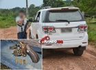 PM e PC localizam caminhonete que foi roubada durante a madrugada e apreende arma de fogo na casa de suspeito, em Ji-Paraná