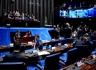 Ao vivo: Assista sessão do Senado que deve afastar Dilma da Presidência