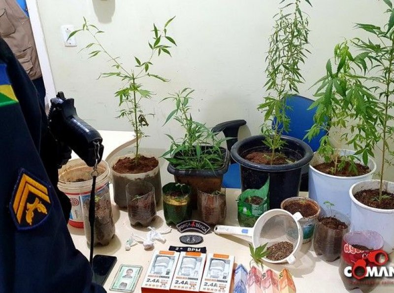 PM prende jovem que estavam cultivando pés de maconha dentro de casa, em Ji-Paraná