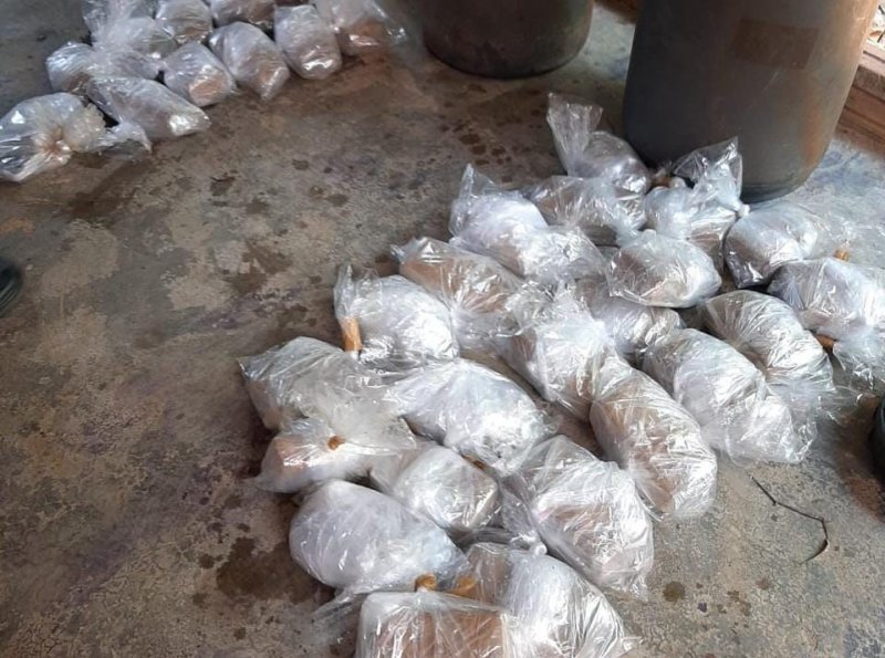 Polícia Civil e Militar realizam operação conjunta e apreendem quase 16 Kg de Maconha enterrados em brejo