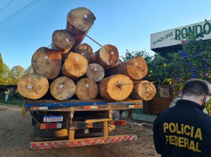 Operação ‘Wood Land’ da PF combate crimes ambientais e comercialização de madeira ilegal de terras indígenas