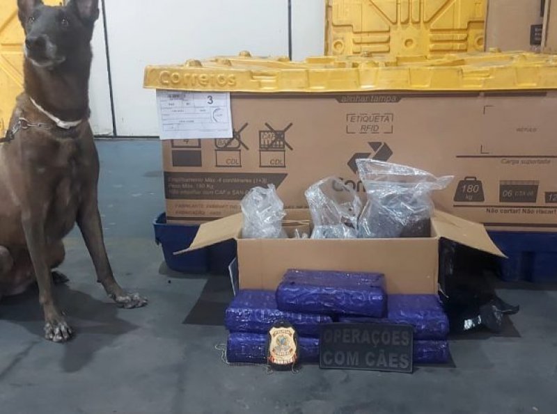 POLÍCIA MILITAR APREENDE 5 KG DE MACONHA EM DEPÓSITO DOS CORREIOS