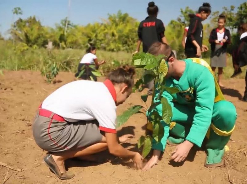 Dia de Proteção às Florestas será celebrado com revitalização de áreas de preservação em Cacoal e Ji-Paraná