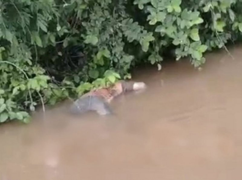 Corpo é encontrado em estado de decomposição no Rio Machado