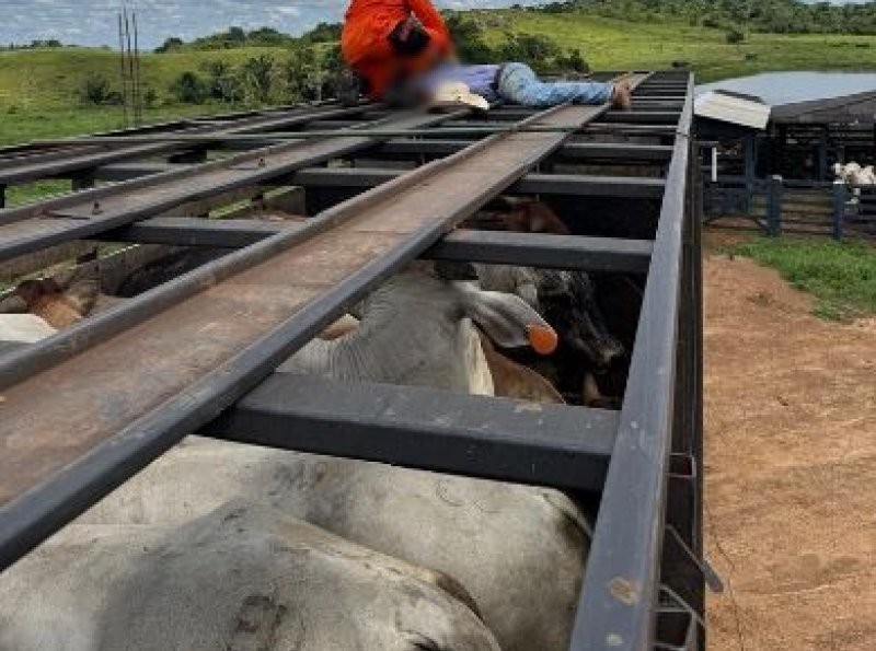 Motorista de caminhão boiadeiro morre vítima de descarga elétrica