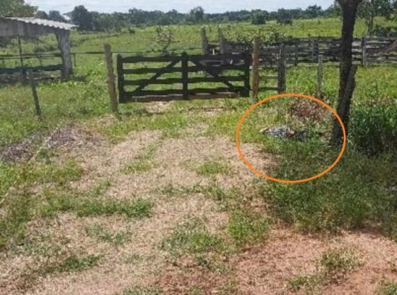 Urupá: Corpo de homem é encontrado às margens da RO-473 na manhã deste domingo