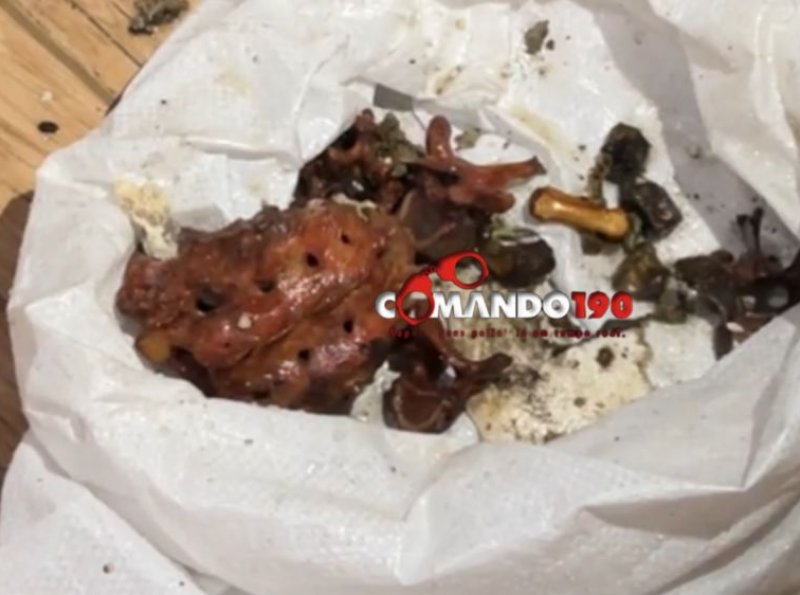 Polícia Civil investiga possível ossada humana encontrada em poço no bairro Boa Esperança