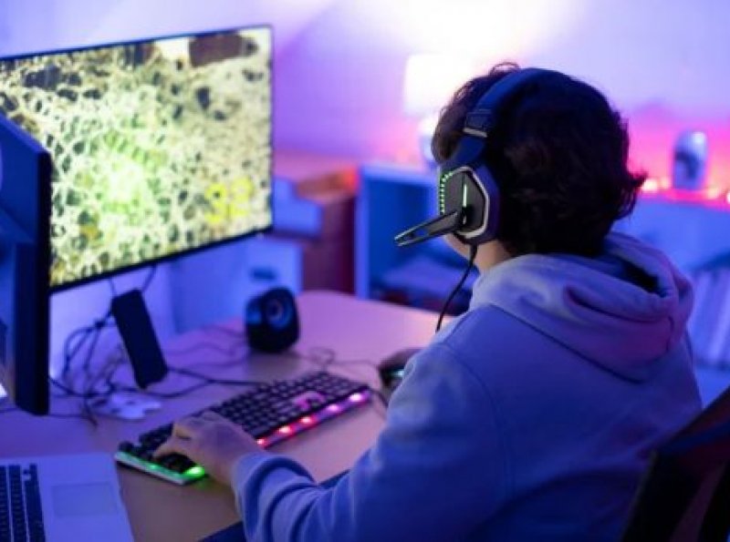 Segurança nos jogos online: como identificar plataformas confiáveis e evitar golpes