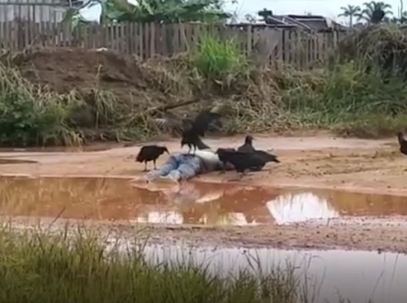 Corpo de foragido da justiça que foi executado no Distrito de Guatá está sendo devorado por urubus