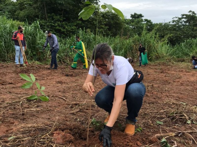 Parceria da MFM e SEMMA Cacoal realiza a recuperação de mais uma Área de Preservação Permanente na cidade